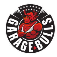 garagebulls155